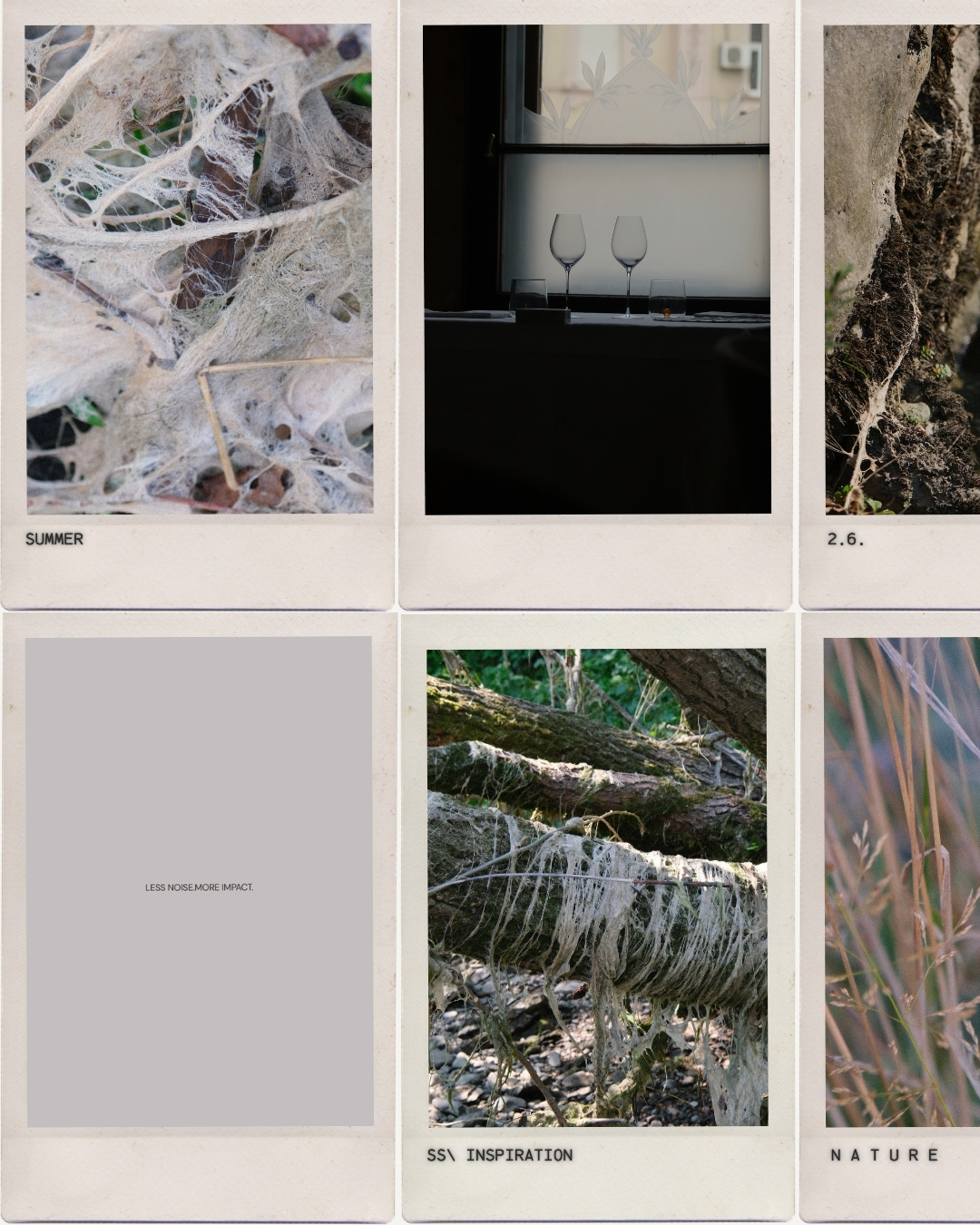 Editorial collage of summer textures, wine glasses, and nature studies with monospace captions